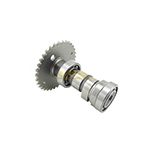 ARBOL LEVAS CS125/DS125/DS150