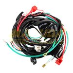 ARNES COMPLETO PRINCIPAL GS-150  10-13/GTS-175 10-