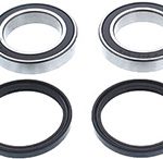 BALERO CUATRIMOTO HONDA TRX250 30x50x20