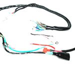 ARNES PRINCIPAL ITALIKA FT150