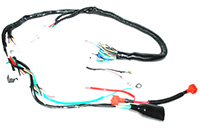 ARNES PRINCIPAL ITALIKA FT150