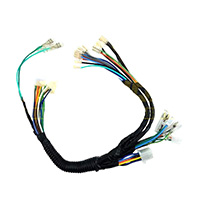 ARNES PRINCIPAL DELANTERO ITALIKA DS150